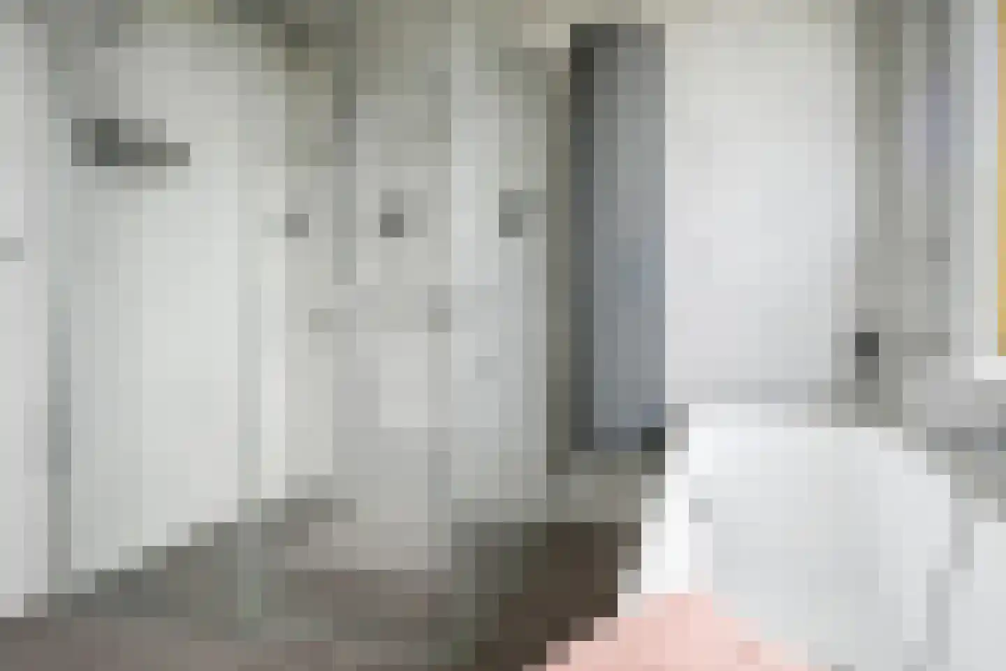 Bastille 12 Berkel en Rodenrijs thumbnail 29