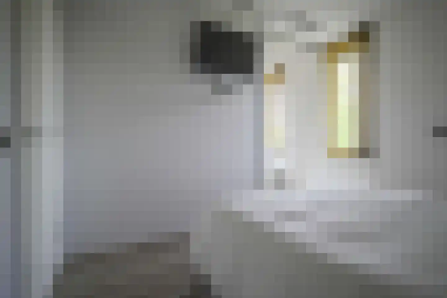 Bastille 12 Berkel en Rodenrijs thumbnail 38