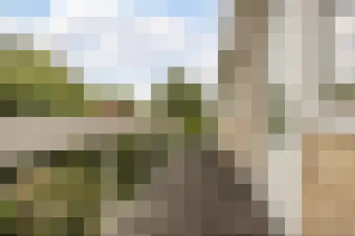 Bastinglaan 13 Delft thumbnail 16