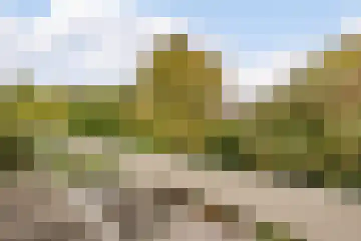 Bastinglaan 13 Delft thumbnail 17