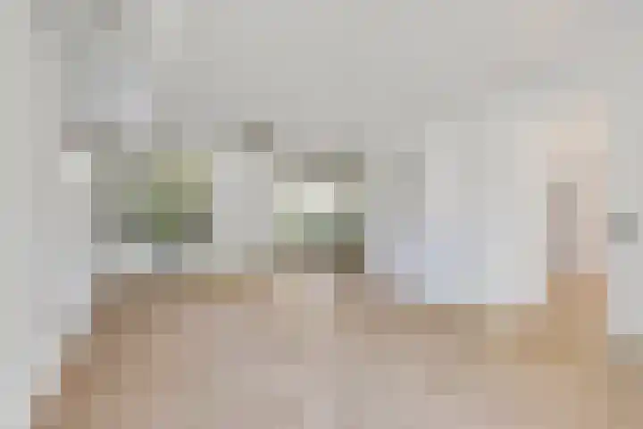 Bastinglaan 13 Delft thumbnail 19