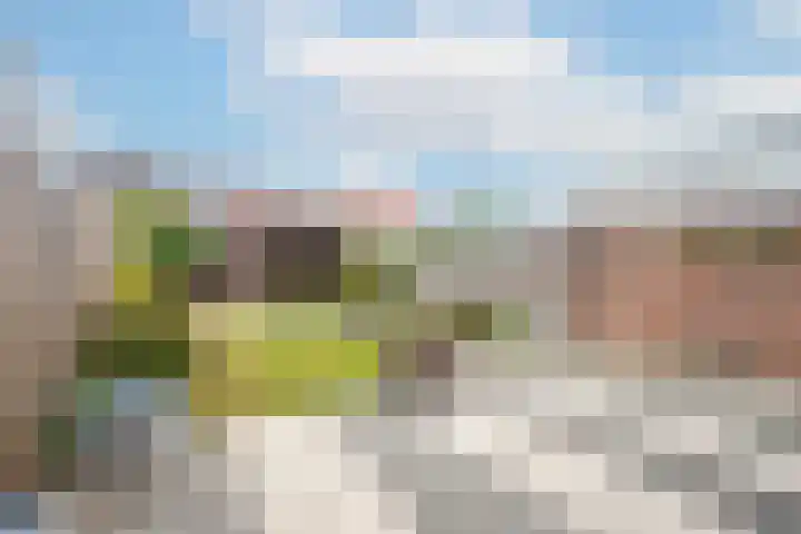 Bastinglaan 13 Delft thumbnail 29