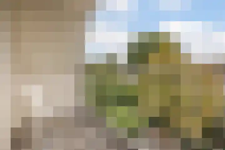 Bastinglaan 13 Delft thumbnail 29