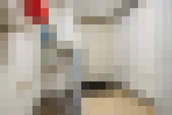 Bastinglaan 13 Delft thumbnail 38
