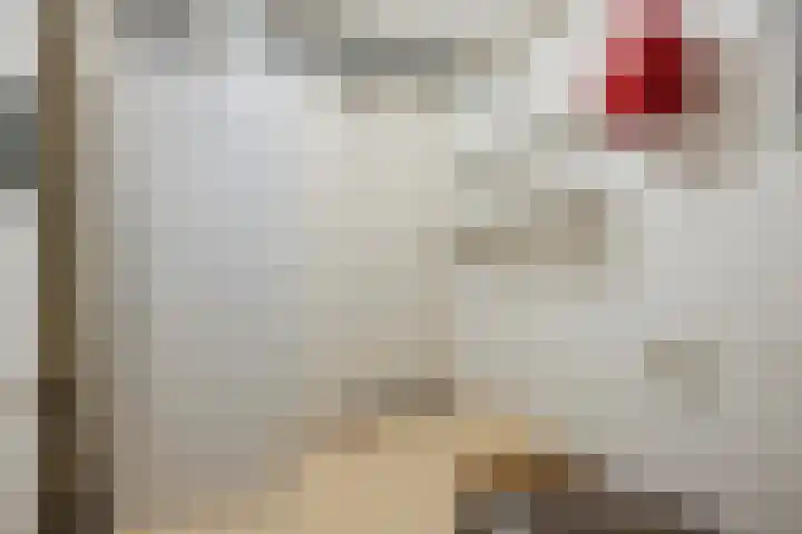 Bastinglaan 13 Delft thumbnail 39