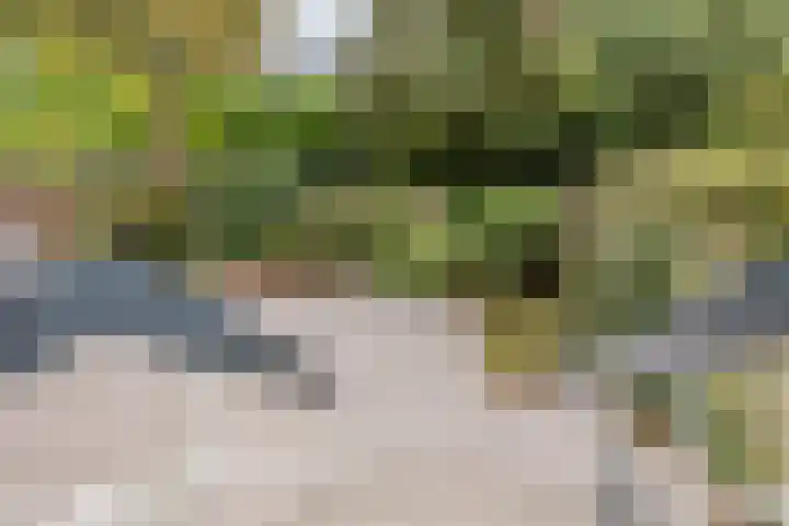 Bastinglaan 13 Delft thumbnail 41