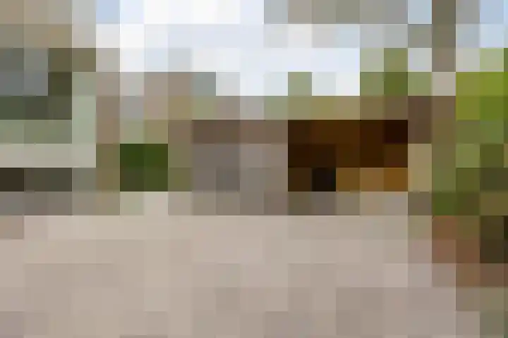 Bastinglaan 13 Delft thumbnail 46