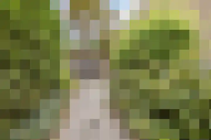 Bastinglaan 13 Delft thumbnail 47