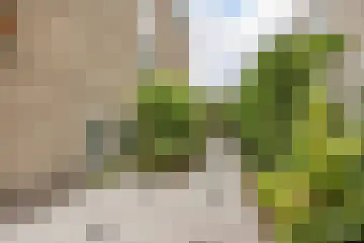Bastinglaan 13 Delft thumbnail 48