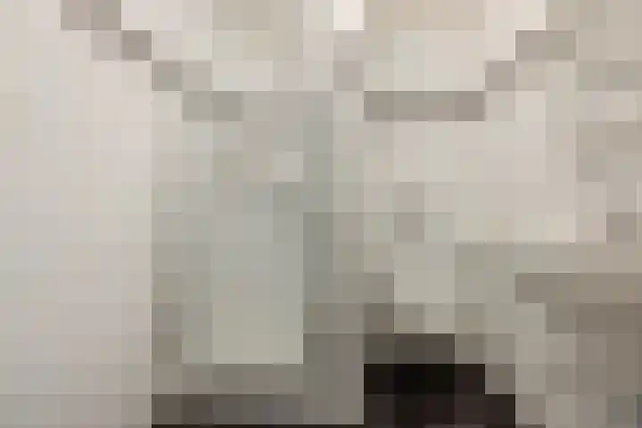 Bastinglaan 13 Delft thumbnail 5