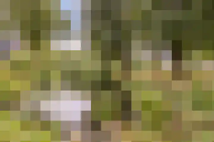 Bastinglaan 13 Delft thumbnail 50