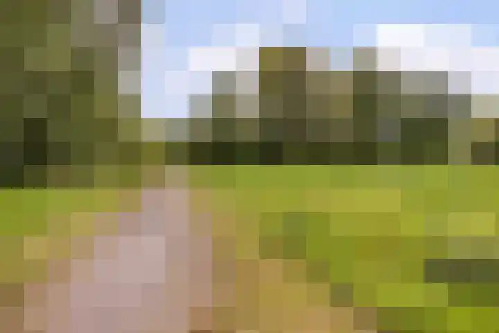 Bastinglaan 13 Delft thumbnail 51