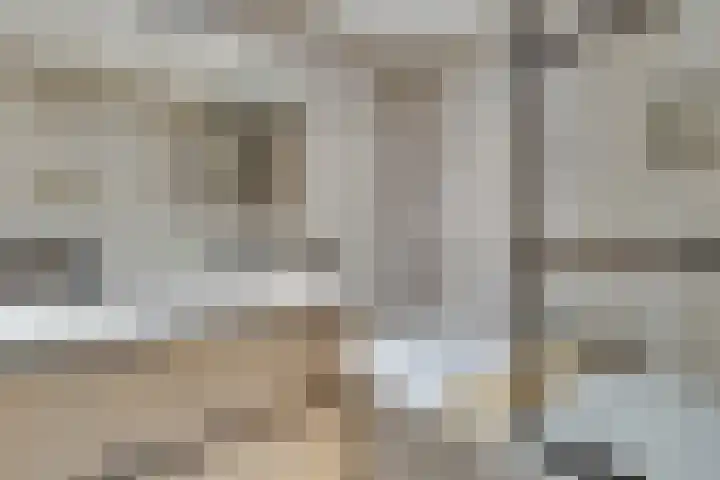 Bastinglaan 13 Delft thumbnail 52