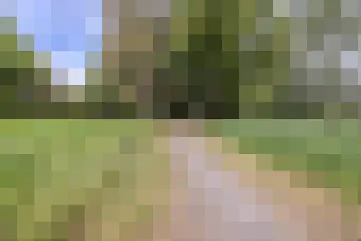 Bastinglaan 13 Delft thumbnail 52