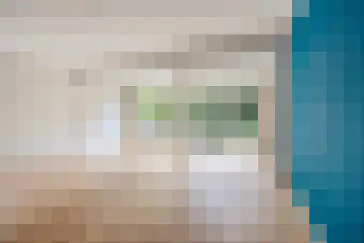 Bastinglaan 13 Delft thumbnail 9