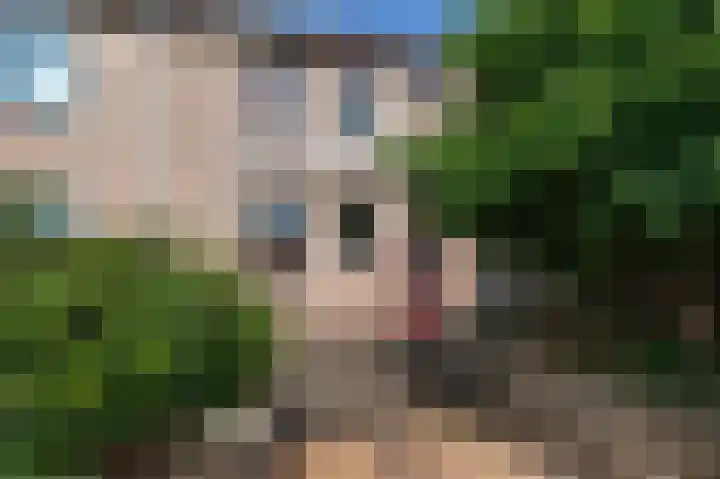 Bastinglaan 137 Doetinchem thumbnail 17