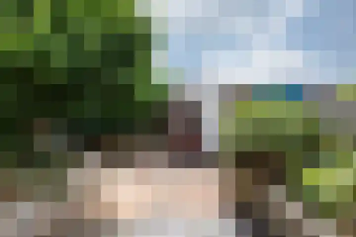 Bastinglaan 137 Doetinchem thumbnail 19