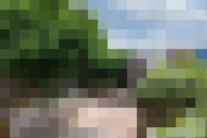Bastinglaan 137 Doetinchem thumbnail 20