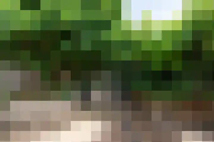 Bastinglaan 137 Doetinchem thumbnail 22
