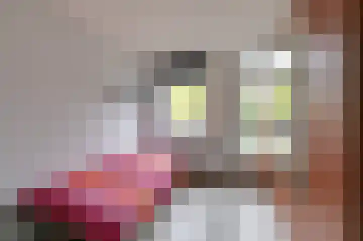 Bastinglaan 137 Doetinchem thumbnail 35