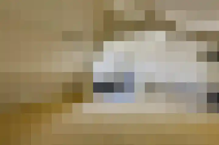 Bastinglaan 137 Doetinchem thumbnail 43
