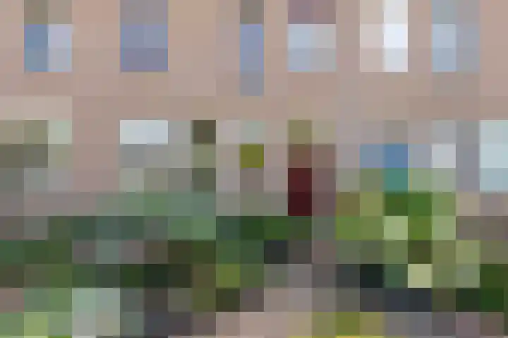 Bastinglaan 137 Doetinchem thumbnail 47