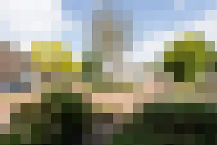 Bastinglaan 137 Doetinchem thumbnail 48