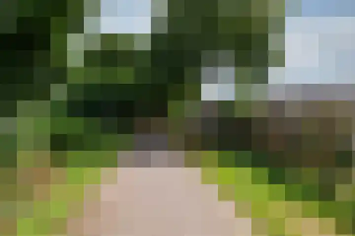 Bastinglaan 137 Doetinchem thumbnail 53