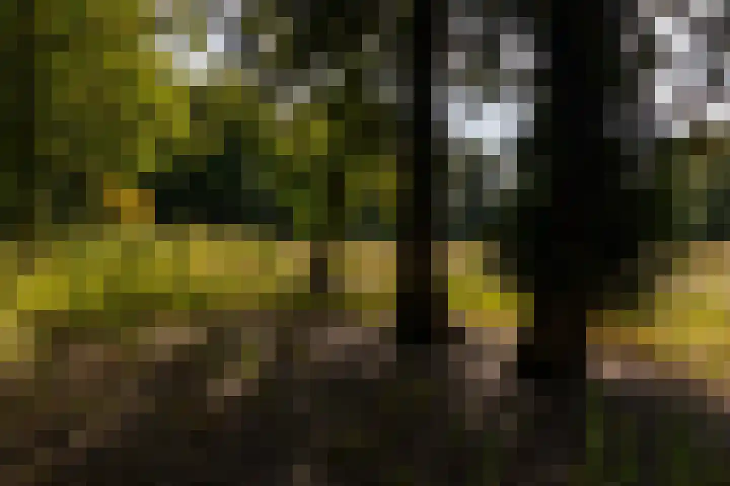 Bastinglaan 20 Enschede thumbnail 10