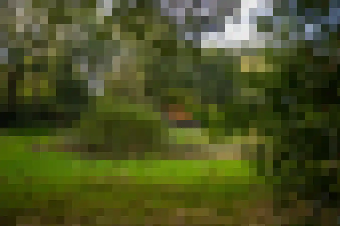 Bastinglaan 20 Enschede thumbnail 16