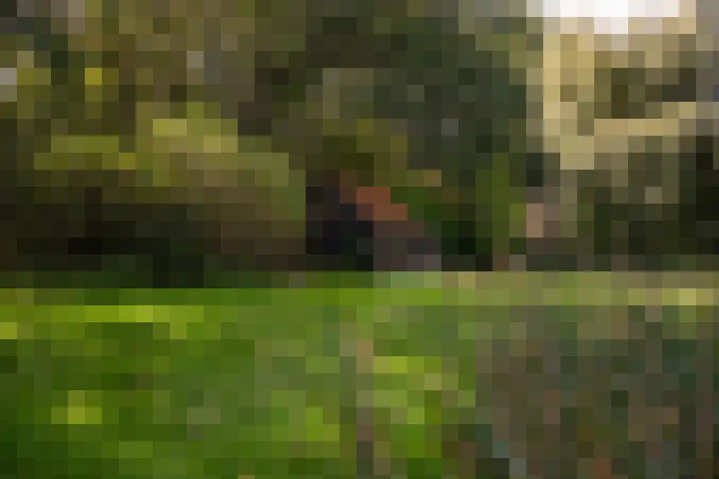 Bastinglaan 20 Enschede thumbnail 17