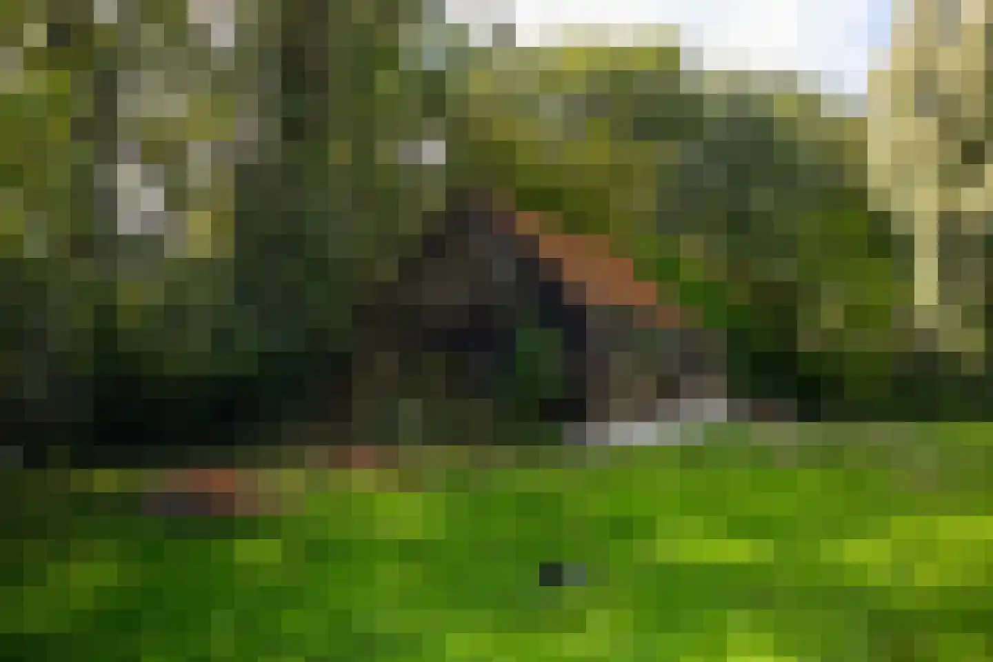Bastinglaan 20 Enschede thumbnail 18