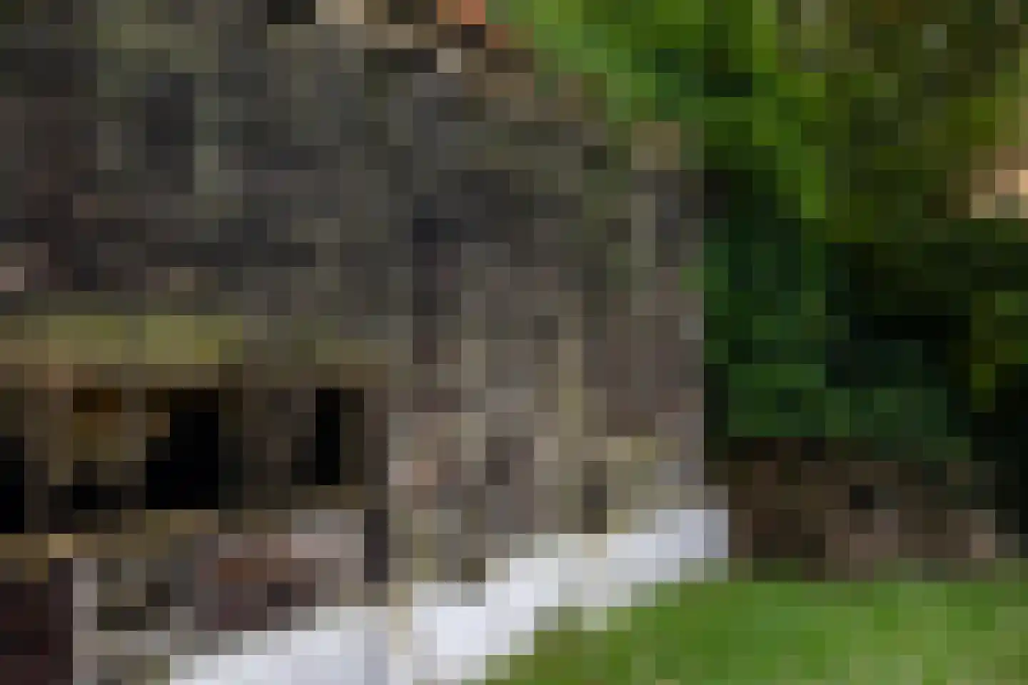 Bastinglaan 20 Enschede thumbnail 19