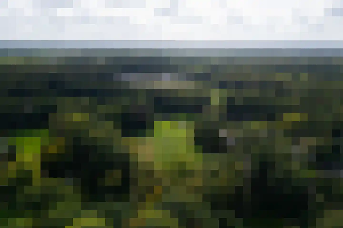 Bastinglaan 20 Enschede thumbnail 4