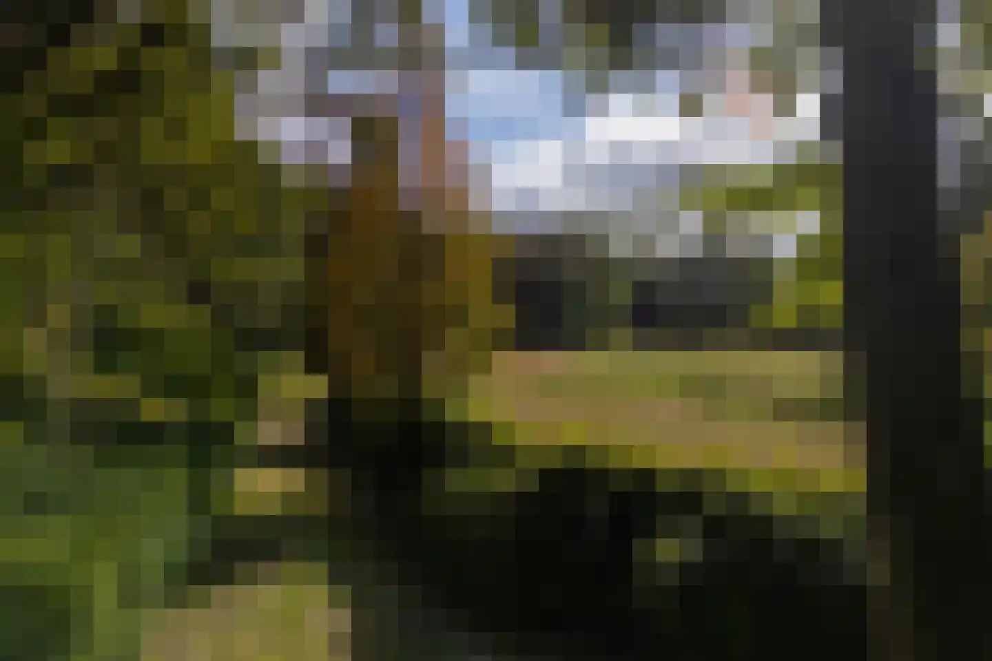 Bastinglaan 20 Enschede thumbnail 7