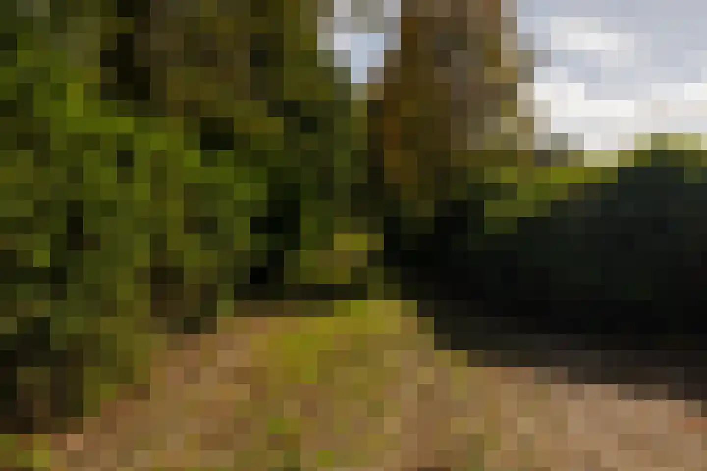 Bastinglaan 20 Enschede thumbnail 8