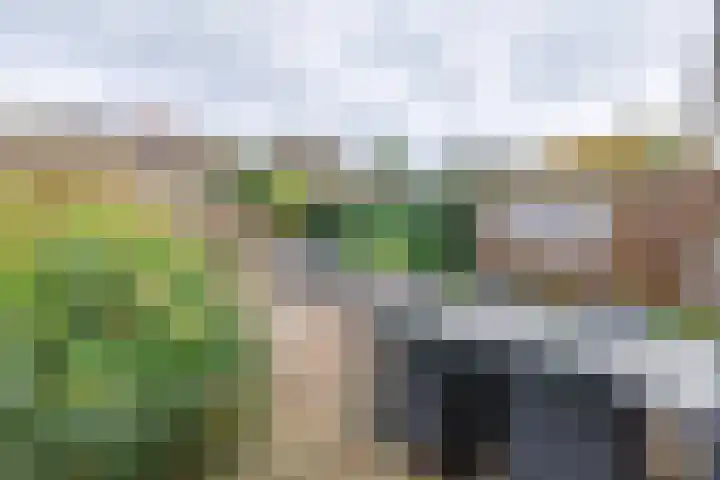 Bastinglaan 46 Doetinchem thumbnail 15
