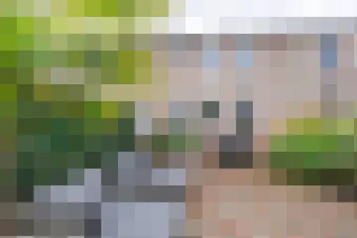 Bastinglaan 46 Doetinchem thumbnail 16