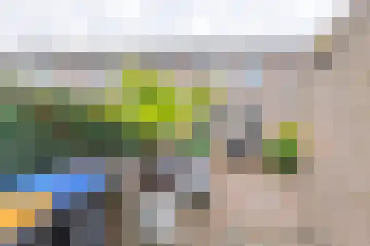 Bastinglaan 46 Doetinchem thumbnail 17