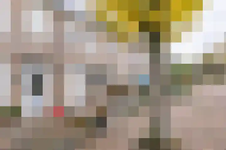 Bastinglaan 46 Doetinchem thumbnail 35