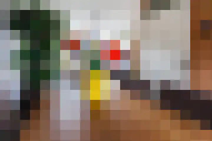 Bastinglaan 46 Doetinchem thumbnail 8