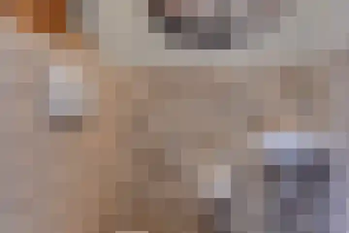 Bastinglaan 58 Doetinchem foto 3