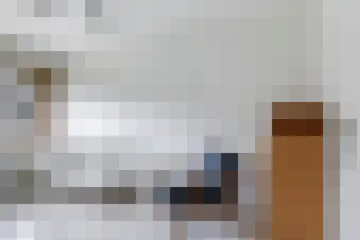 Bastinglaan 58 Doetinchem thumbnail 38