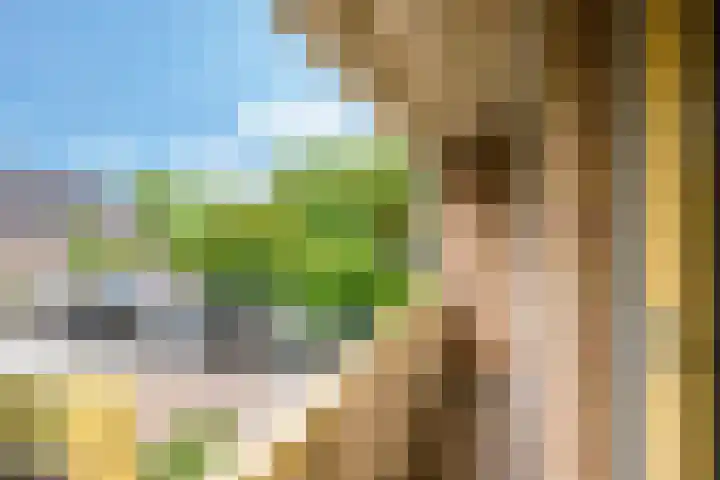 Bastinglaan 58 Doetinchem thumbnail 39