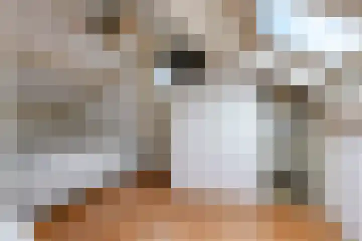 Bastinglaan 58 Doetinchem thumbnail 47