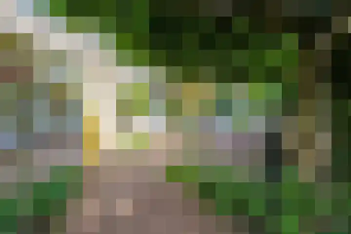 Bastinglaan 58 Doetinchem thumbnail 49