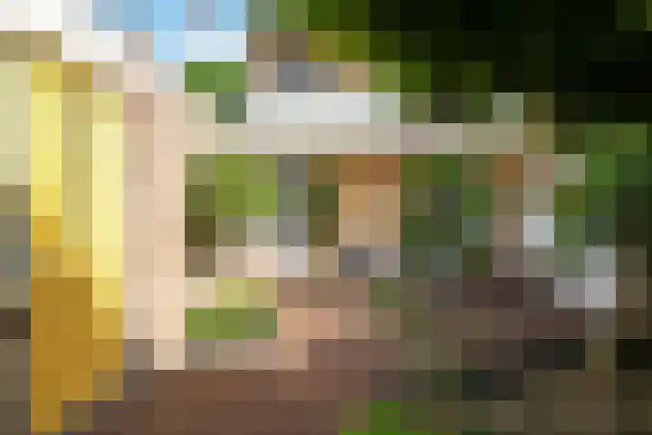 Bastinglaan 58 Doetinchem thumbnail 50