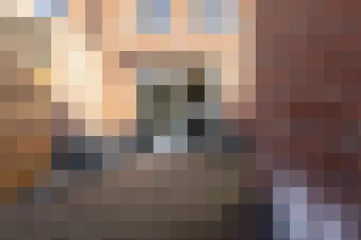 Bastinglaan 58 Doetinchem thumbnail 55