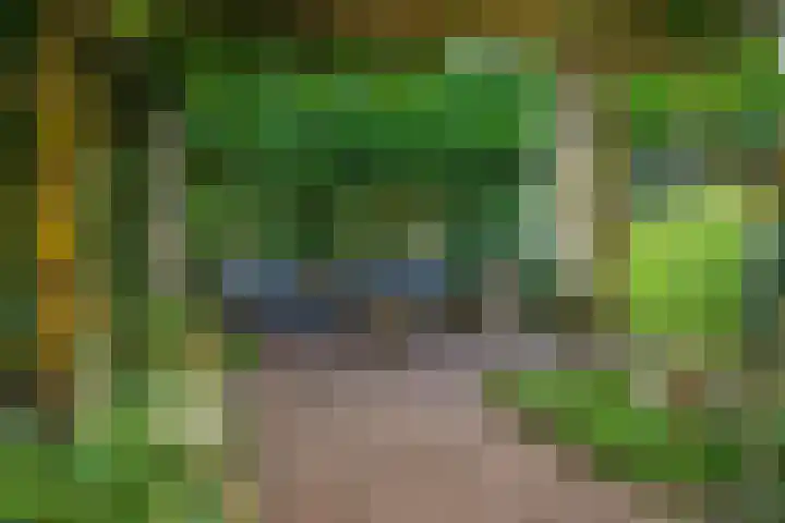 Bastinglaan 58 Doetinchem thumbnail 56