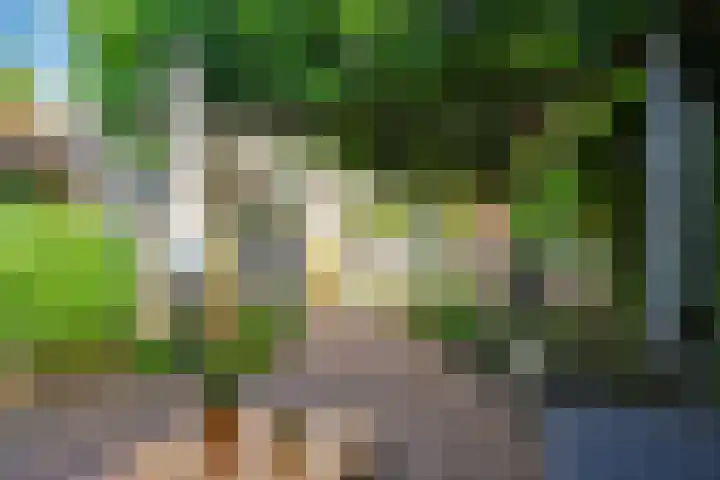 Bastinglaan 58 Doetinchem thumbnail 62
